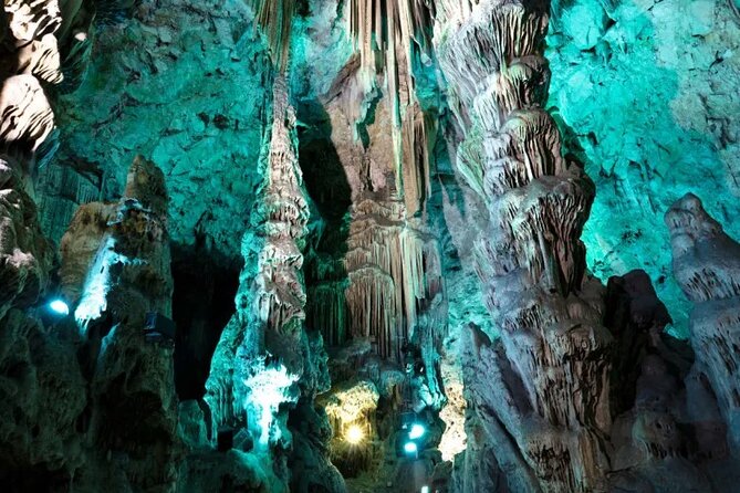 Gibraltar Private Tour from Malaga and Surrounding Areas - Door-to-door Costa del Sol pickup makes Gibraltar easy