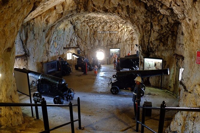 Gibraltar Private Tour from Malaga and Surrounding Areas - Price and logistics: what $724.09 per person is really buying
