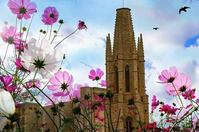 Girona Guided Tour with Cathedral, Arab Baths & St Feliu Basilica - Walking pace and prep: how to make the most of steep Girona streets