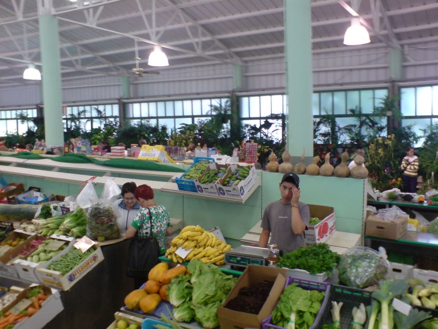 Gran Canaria: 6-Hour Teror and San Mateo Markets Tour - Group Tour Reality: Good Fit and Not-So-Good Fit