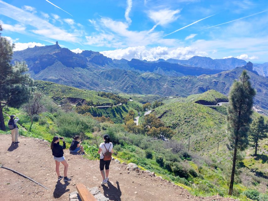 Gran Canaria 7 Highlights Small Group Tour with Tapas Picnic - The pine forest tapas picnic: why this is the best kind of lunch