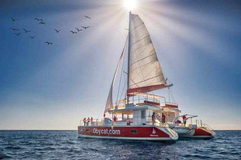 Gran Canaria: All-inclusive tour in the south of Gran Canaria - Veneguera or Tiritaña: The Cove Choice Behind the Calm