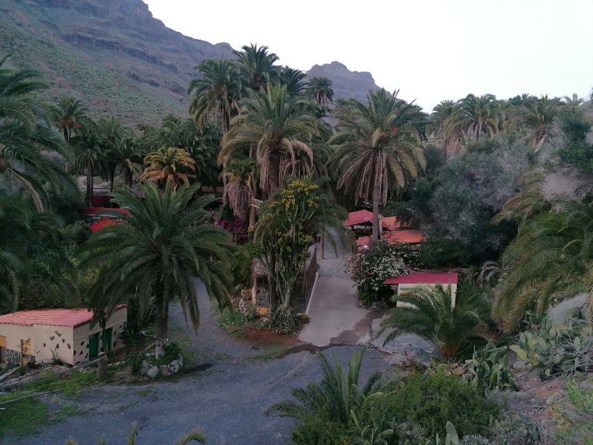 Gran Canaria: Camel Ride at Camel Safari Park - Key highlights at Camel Safari Park La Baranda