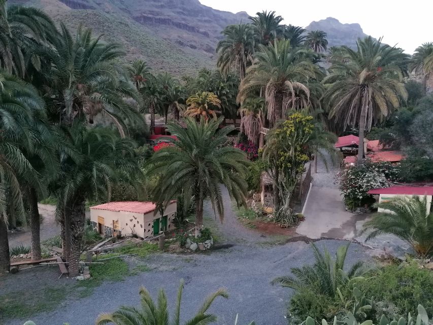 Gran Canaria: Camel Ride at Camel Safari Park - Price and Value: Is $23 a Smart Buy?