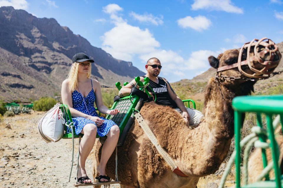 Gran Canaria: Camel Ride Safari w/ Optional Food & Transport - Camel Safari Park La Baranda: Arrival, Animals, and the “Park Pace”