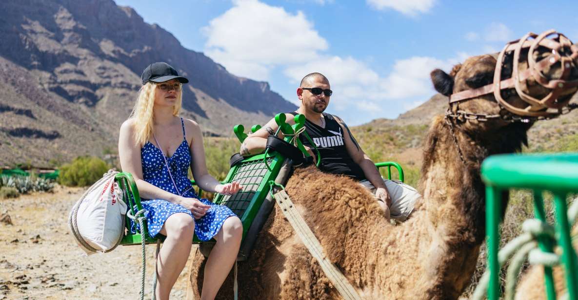Gran Canaria: Camel Ride Safari w/ Optional Food & Transport - Tapas Upgrade in a Museum-Like Setting: Local Food Without the Long Wait