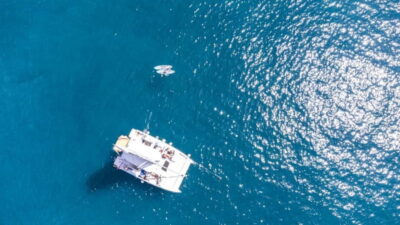 Gran Canaria: Catamaran Tour with Lunch on Pristine Beaches - A brand-new Stingray catamaran day: comfort, stability, and space