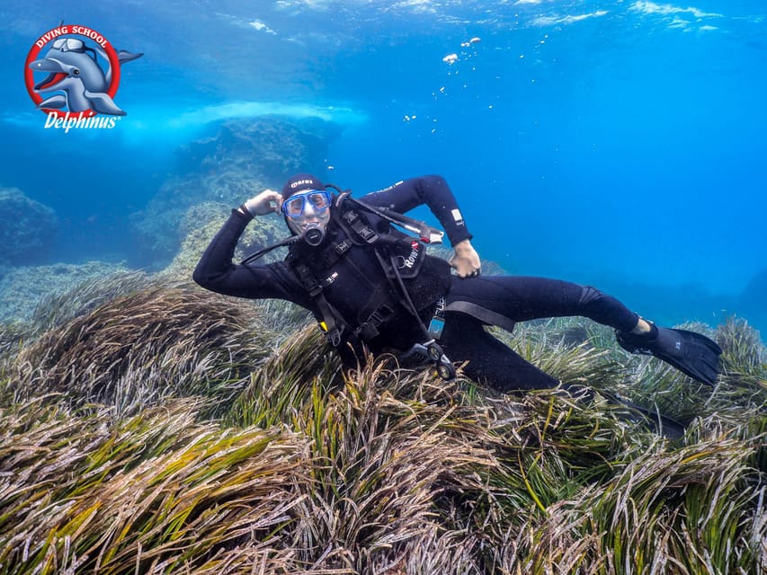 Gran Canaria: Discover Scuba Diving Beginner Program - Theory lesson: what you’re actually learning before you go in