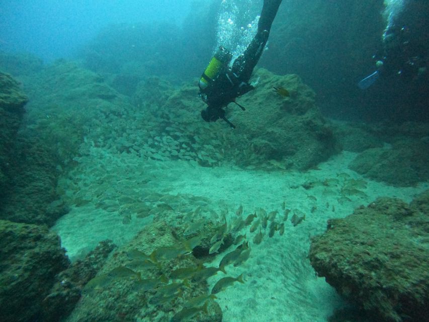 Gran Canaria: Discover Scuba Diving - Free Transfers - Key things to know before you go