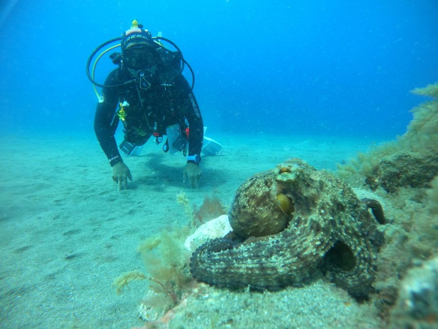 Gran Canaria: Discover Scuba Diving - Free Transfers - Getting to the water: Tufia or Amadores based on the day