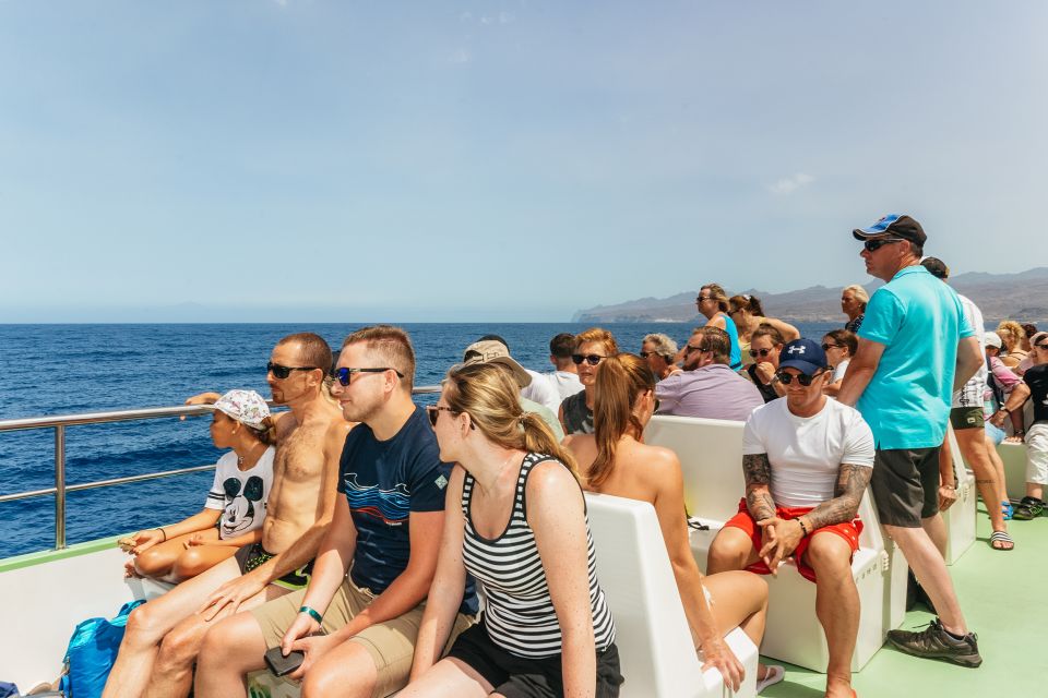 Gran Canaria: Dolphin and Whale Watching Cruise - Pickup, Bus Time, and Getting Back Without Losing Your Mind
