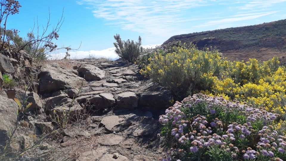 Gran Canaria: Full-Day Guided Hiking With Snacks - Key things you’ll notice fast