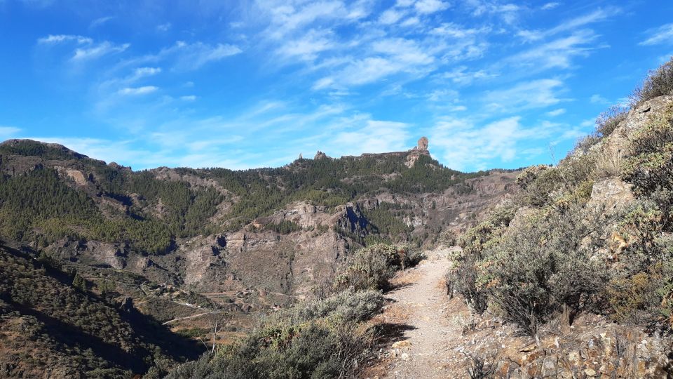 Gran Canaria: Full-Day Guided Hiking With Snacks - Pickup and transport: where the morning starts in the south