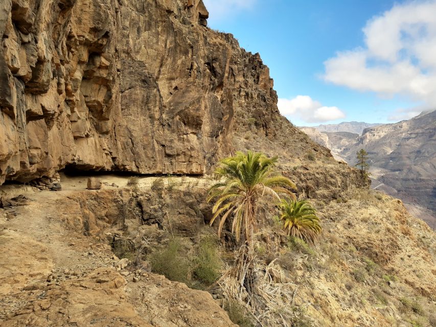 Gran Canaria: Full-Day Guided Hiking With Snacks - The trail itself: 7–10 km, climbing and descending, paced for real people
