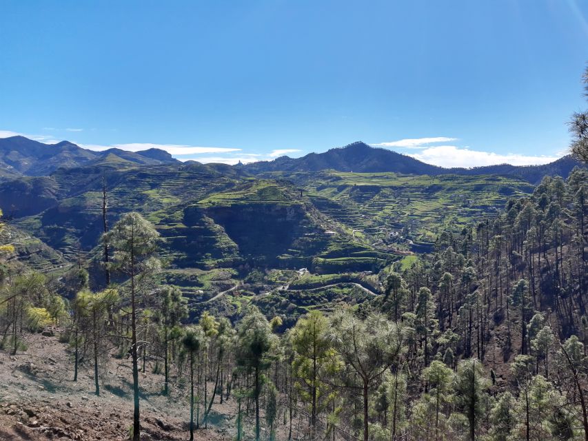 Gran Canaria: Full-Day Guided Hiking With Snacks - Who should book this Gran Canaria hiking day (and who should reconsider)