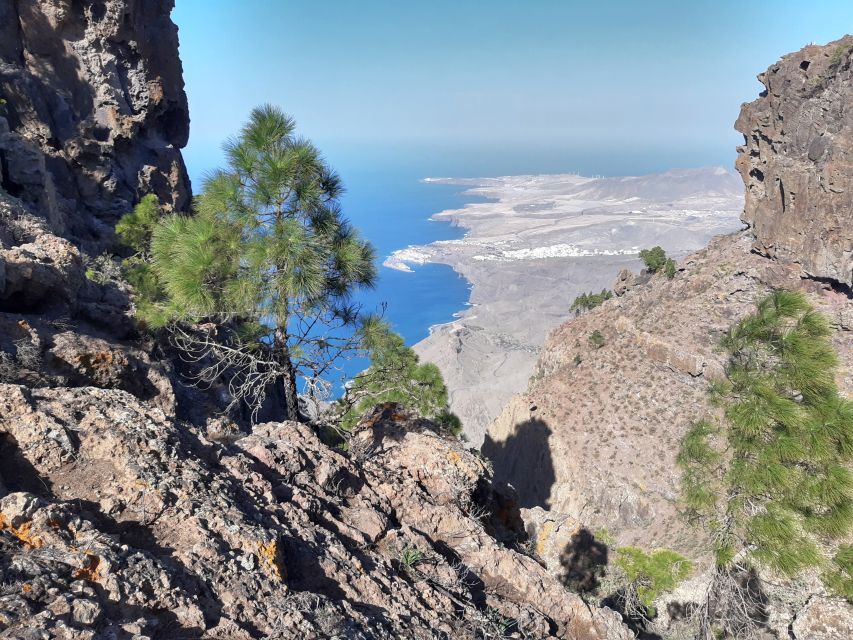 Gran Canaria: Full-Day Guided Hiking With Snacks - Price and value: is $82 fair for what you get?
