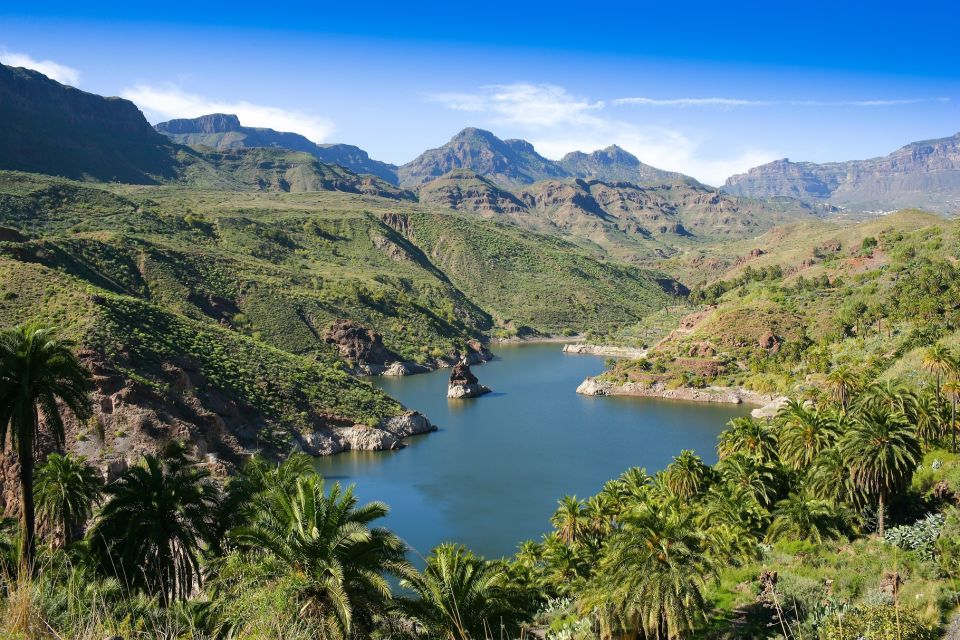 Gran Canaria: Full-Day VIP Tour by Bus - Key things I’d plan around