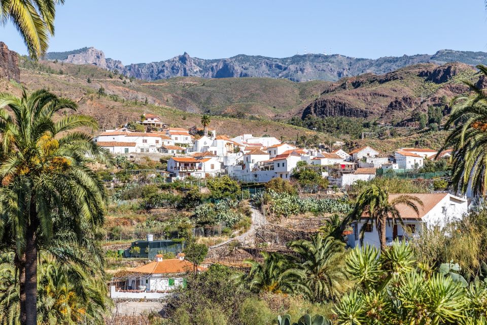 Gran Canaria: Full-Day VIP Tour by Bus - Valley of a Thousand Pine Trees to Roque Nublo: canyon drama and volcanic rock
