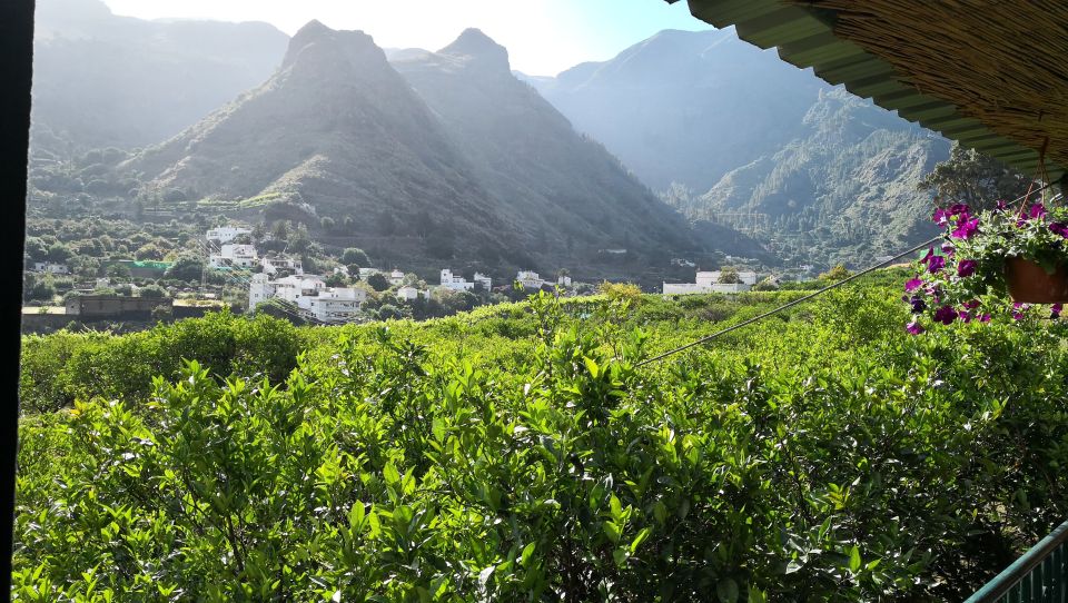 Gran Canaria: Grand Island Tour by Bus with Transfers - Key highlights worth planning for