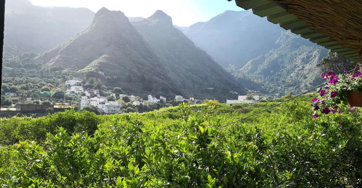 Gran Canaria: Grand Island Tour by Bus with Transfers - Puerto de Mogán, canals and calm water views