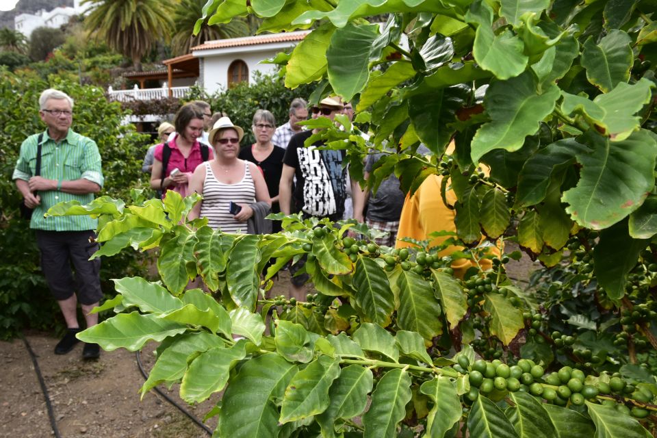 Gran Canaria: Grand Island Tour by Bus with Transfers - South coast drive + Montañas Azules: volcanic color you can’t fake