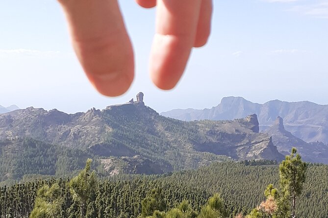 Gran Canaria Highlights Private Tour VIP - Price and Logistics: What $665.15 per Group Really Buys