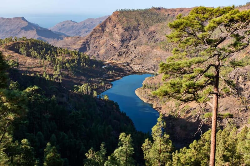 Gran Canaria: Island Highlights Tour with Optional Lunch - The 6.5-hour pacing: quick stops, real breathing room