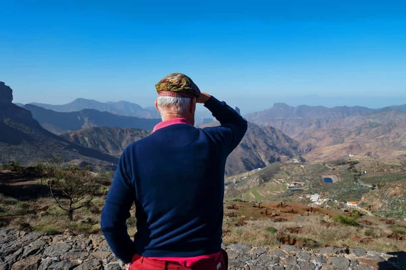 Gran Canaria: Island Highlights Tour with Optional Lunch - Aloe Vera Finca Canarias (about 35 minutes): photos plus retail reality
