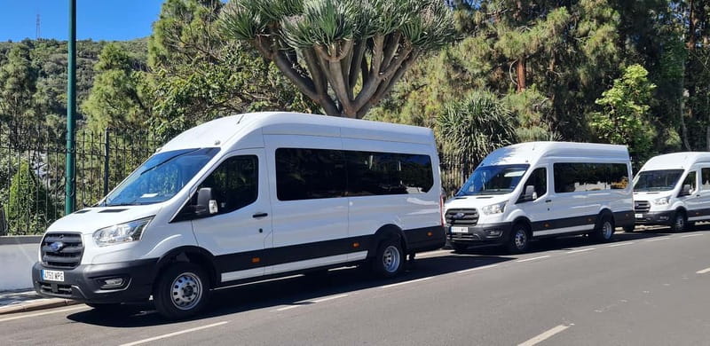 Gran Canaria: Island Highlights Tour with Optional Lunch - Caldera de Bandama (about 15 minutes): a quick volcanic lesson