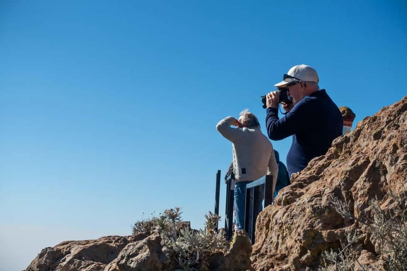 Gran Canaria: Island Highlights Tour with Optional Lunch - Price and value: what $81 really covers
