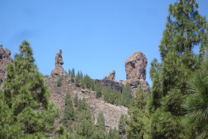Gran Canaria Peaks Full-Day Tour from Las Palmas - Pico de las Nieves: your first real look at Gran Canaria from above