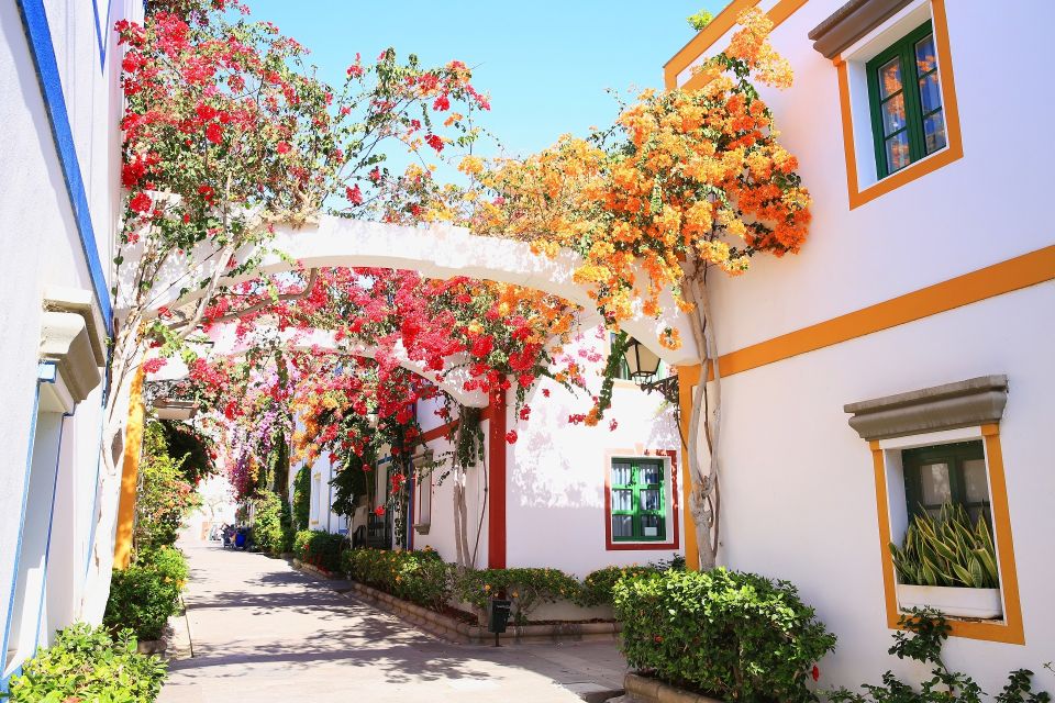 Gran Canaria: Puerto de Mogán Local Market Day Trip - Key things to know before you go