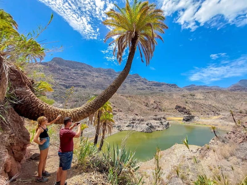 Gran Canaria: Red Gorge, Cave, Oasis Adventure Tour & Picnic - Key takeaways before you go