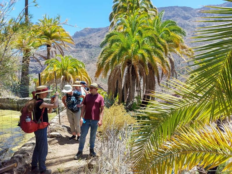 Gran Canaria: Red Gorge, Cave, Oasis Adventure Tour & Picnic - The tapas picnic: Canarian flavors in a calm, outdoor setting