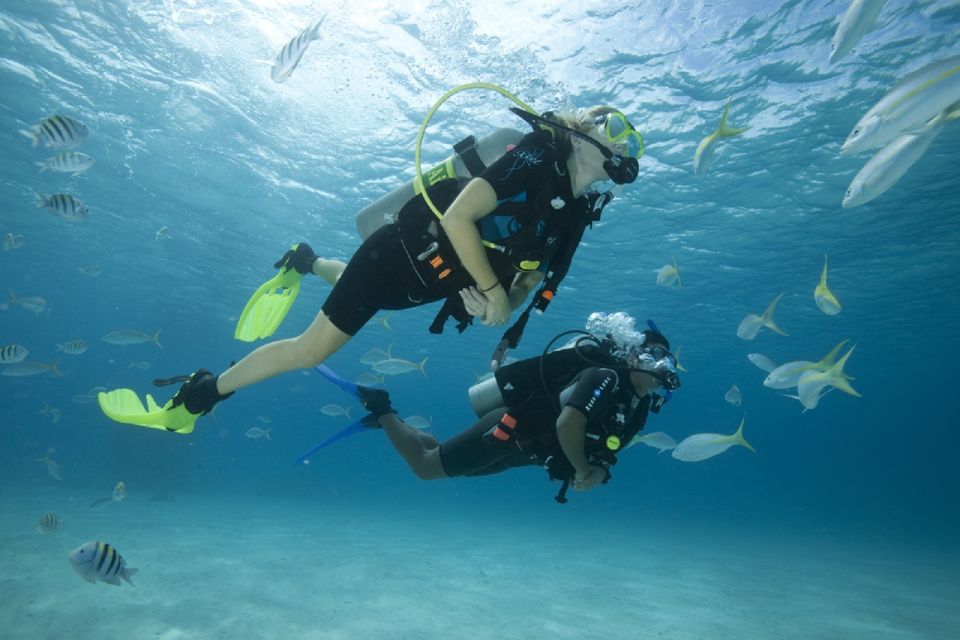 Gran Canaria: Scuba Diving for Beginners - Key points to know before you go