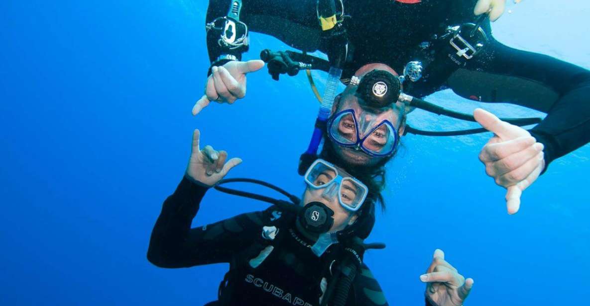 Gran Canaria: Scuba Diving for Beginners - The PADI Discover Scuba flow: safety briefing to open-water swim