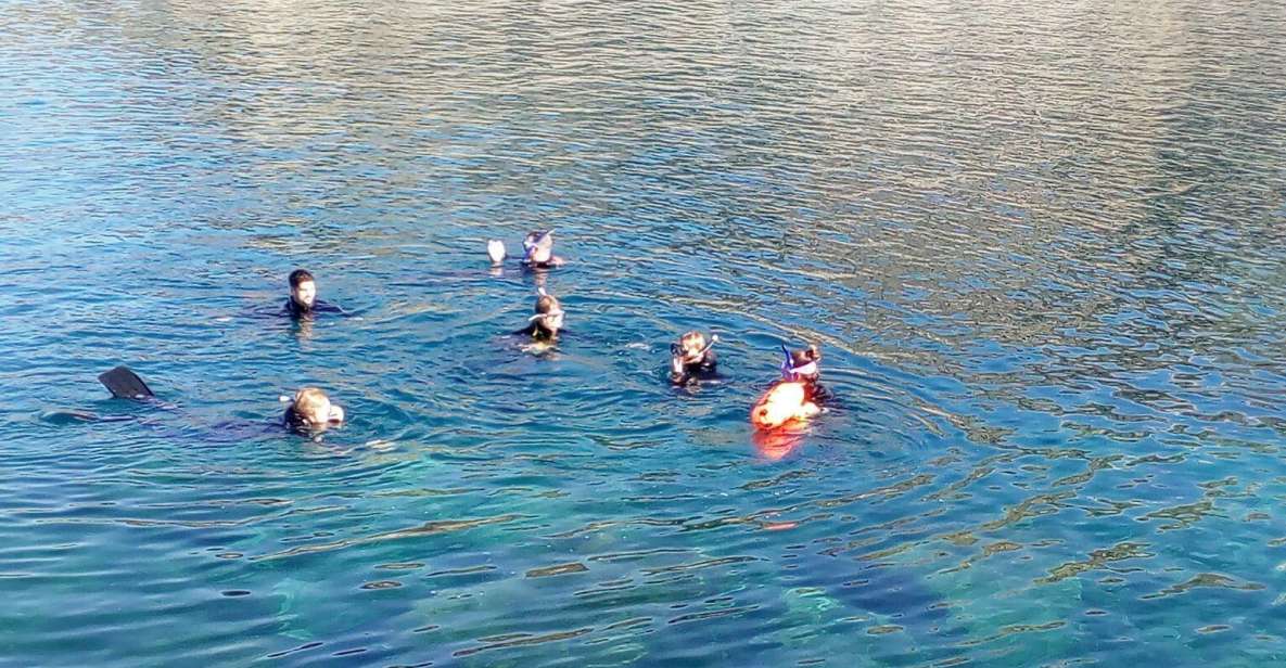 Gran Canaria: Snorkeling Trip - Key points worth knowing