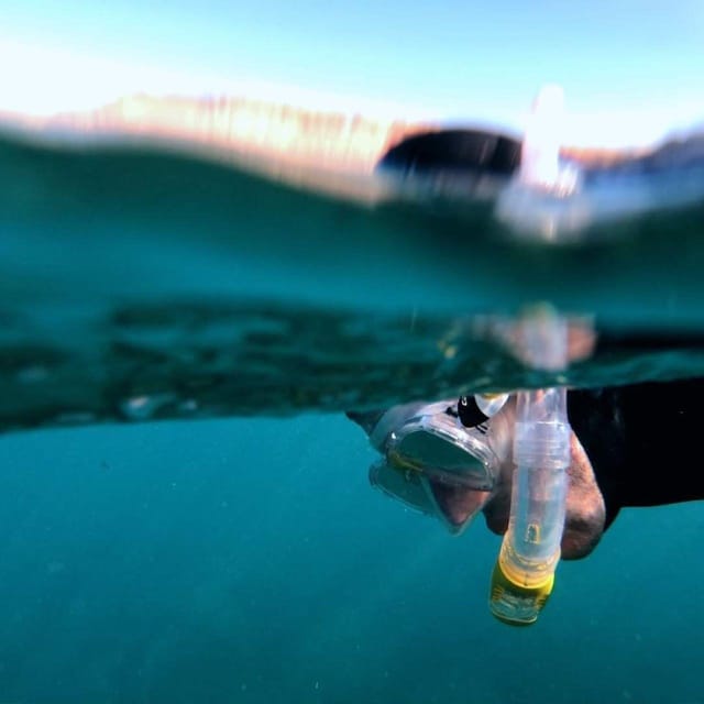 Gran Canaria: Snorkeling Trip - How the beach time works (and what to do with it)