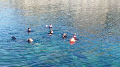 Gran Canaria: Snorkeling Trip - From paperwork to wetsuit: the first part of your trip