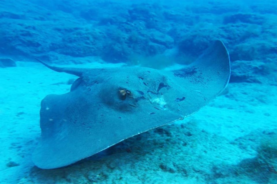 Gran Canaria: Snorkeling Trip - What to bring so you’re comfortable the whole time
