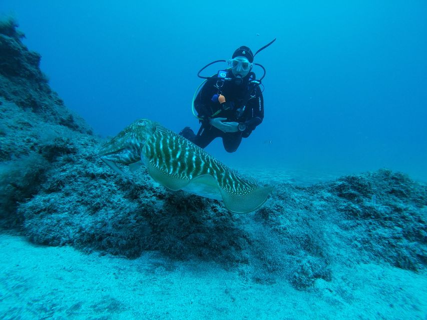 Gran Canaria: Try Scuba Diving for Beginners - Who can join, who should not, and the medical check you must complete