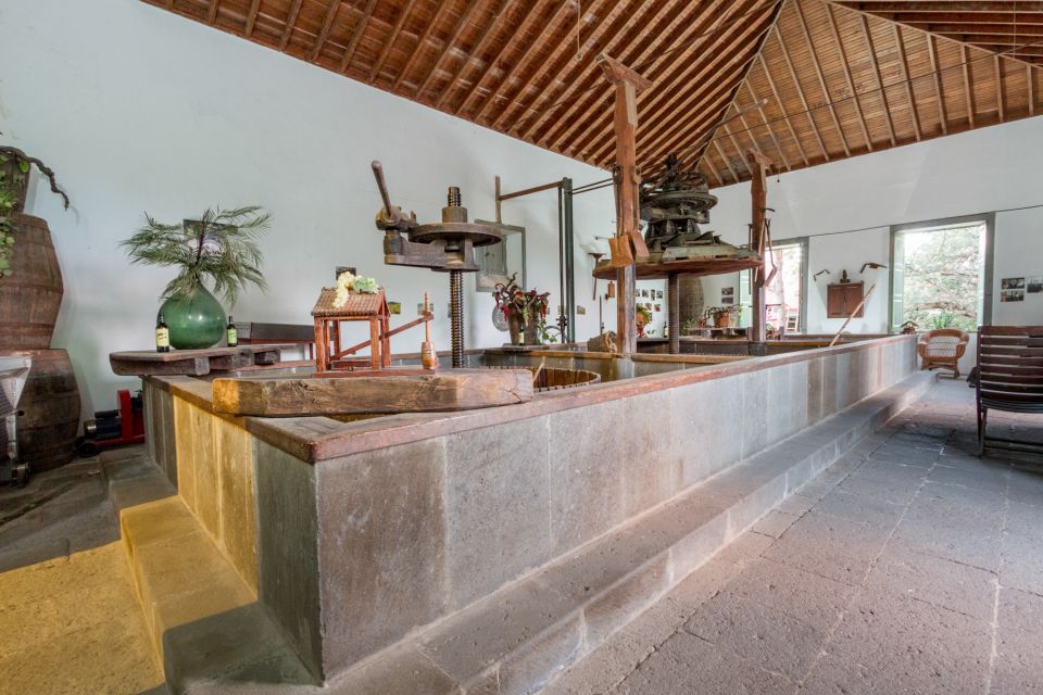 Gran Canaria: Winery Tour, Wine Museum, and Tasting - The 100-Year-Old Lagares: Old Wine Work You Can Still Picture