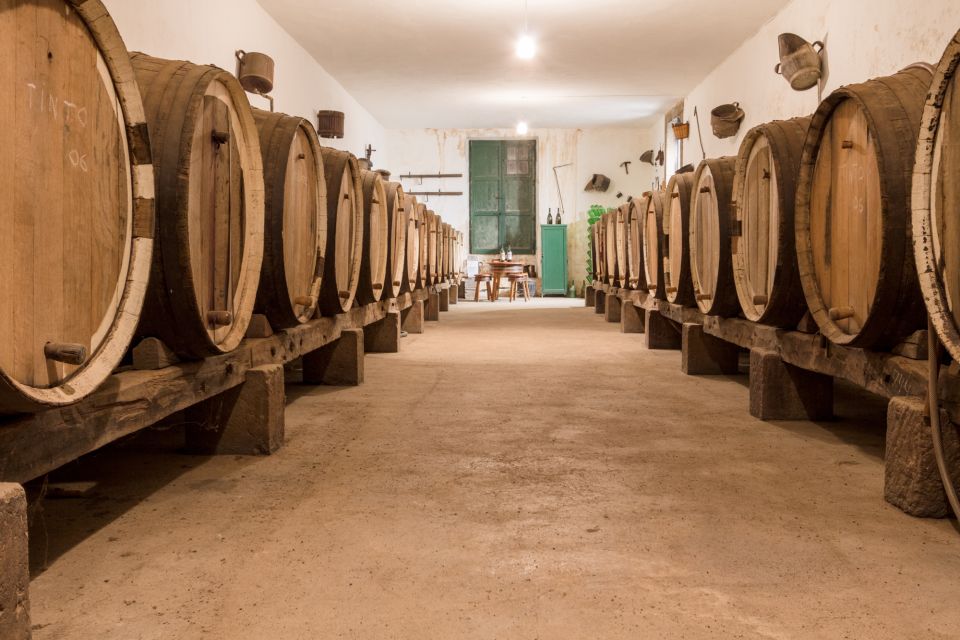 Gran Canaria: Winery Tour, Wine Museum, and Tasting - The Tasting: Two Wines, Cheese, Toast, and Olives