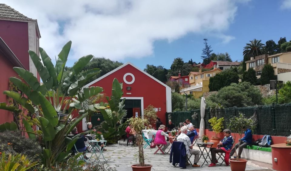 Gran Canaria: Winery Tour, Wine Museum, and Tasting - Who This Winery Tour Suits Best