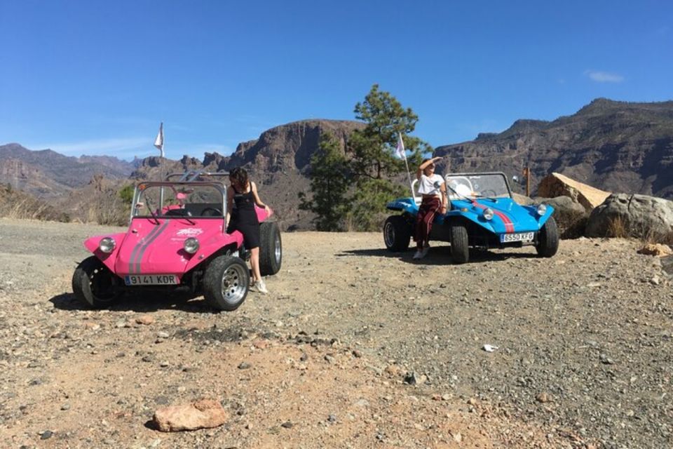 Gran Canary: 70's VW Buggy Tour - Price and Value: Is $223 Per Group Up to 2 Worth It?