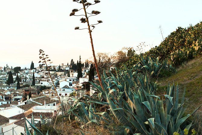 Granada: Albaicin and Sacromonte Private Tour - Mirador de San Nicolás: the Alhambra view you’ll actually use