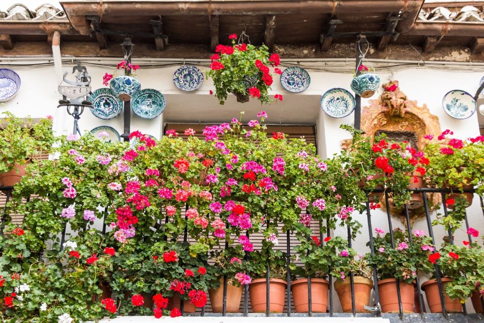 Granada: Albaicín and Sacromonte Walking Tour - Starting at Plaza Isabel la Católica: where the tour gets you oriented