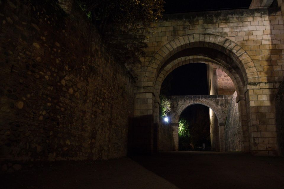 Granada: Alhambra Night Visit Entry Ticket - Night entry to the Alhambra: why it feels different