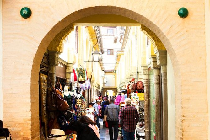 Granada City Center and Albaicin Private Tour - La Madraza and the Nasri story: history with location