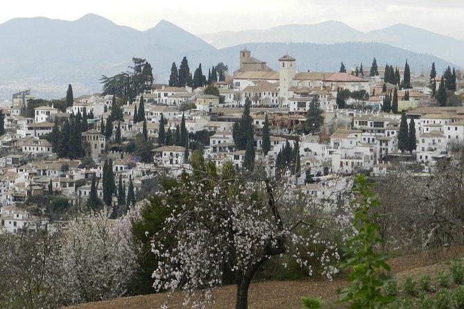 Granada Day Trip: Alhambra & Nazaries Palaces from Seville - Alhambra and the Nasrid Palaces: Where the Guide Turns Details into Meaning